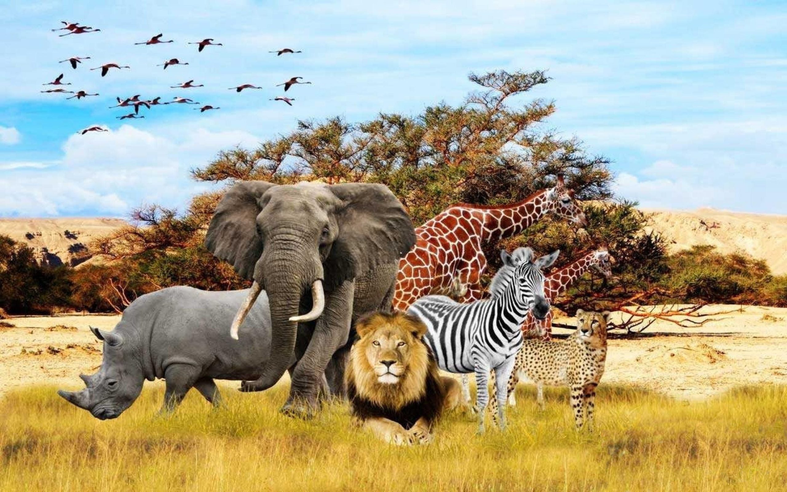 Exotic Destinations & Wildlife Safari Tours